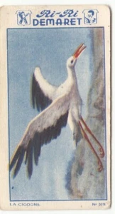 CİCONİA CİCONİA CİGOGNE BLANCHE WHİTE STORK WEİSSSTORCH OISEAU BIRD IMAGE CARD - Picture 1 of 2