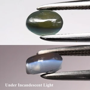 💎 0.64ct Oval Cabochon Natural Green Cat's Eye Alexandrite - Russia Gemstone - Picture 1 of 6