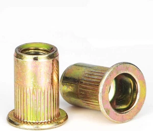 Tuerca de remache, LOKMAN 100 piezas 1/4-20UNC acero al carbono cabeza plana remache roscado - Imagen 1 de 12