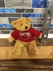 Adorable Plushland University Of Arkansas Razorback Teddy Bear Red Sweater 2000 - Picture 1 of 3