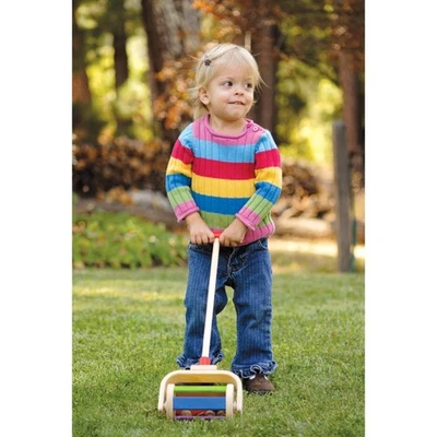 Juguete galardonado Walk and Roll First Push de Plan Toy para edades de 2-6 Foto 1 de 4