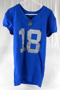Camiseta deportiva azul 2023 Detroit Lions David Blough #18 emitida por el juego Acción de Gracias 42 337 - Imagen 1 de 8