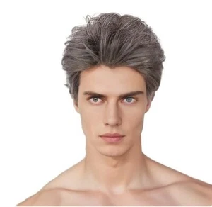 Men Wigs Short Gray Wig Synthetic Heat Resistant Natural Halloween Cosplay Ha... - Picture 1 of 7