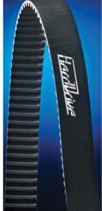 Correa de transmisión trasera HardDrive 811-11030 / Harley Davidson - Imagen 1 de 1