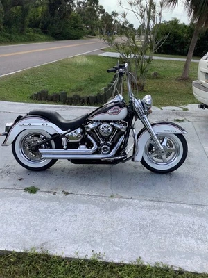 Harley-Davidson Softail 2019  Foto 1 de 4