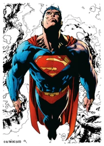 Superman Core (Color) | DC Comics Card Game Shield Protector (2023) - Imagen 1 de 1
