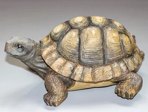 Pet Cremation Urn Turtle Ashes Sculpture Memorial Grave Decor Keepsake Realistic - Picture 1 of 6