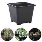 Value for Money For Gardening Solution Plastic Plant Pots for All Plant Types