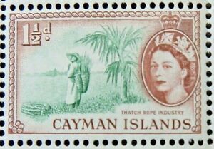 CAYMAN ISLANDS 1954-62 SG151 QEII 1½d. THATCH ROPE INDUSTRY  -  MNH