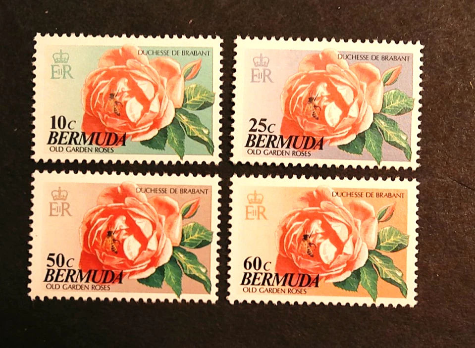 BERMUDA SCOTT #652-55, 1993 OLD GARDEN ROSES, COMPL SET OF 4 MNH STAMPS - Image 1 of 1