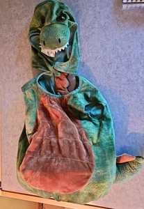 Spirit Halloween Infant Baby Dino Costume Size 12-18 months Dinosaur 2 Piece - Picture 1 of 10