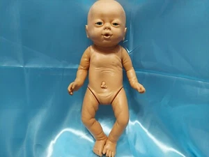 VINTAGE ANATOMISCH KORREKTE GRUSELIGE FRÜHCHEN NEUGEBORENES BABY MÄDCHEN PUPPE 14 ZOLL GRUSELIG - Bild 1 von 24