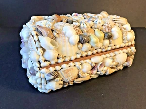 Natural Seashell Jewelry Trinket Box, Handcrafted, Felt Interior, White, 7"x5x4" - Picture 1 of 11