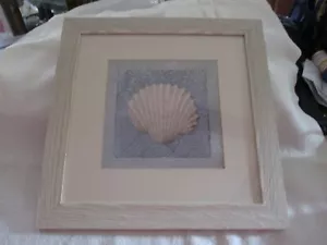 Matted & Framed w/Glass - Sea Shell with Blue Pattern Background - Ready to Hang - Picture 1 of 5