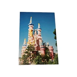 Vtg 90s Walt Disney World Cake Castle Original Photograph 25th Magic Kingdom PIc - Picture 1 of 3