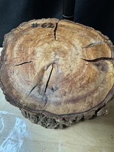 SPALTED UKNOWN WOOD TURNING,PEN BLANKS,SCALES,WOODWORKING #62 - Picture 1 of 4