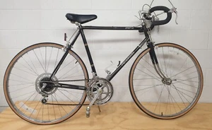 PANASONIC Sport LX 12 Speed BICYCLE Shimano Derailleur, DiaCompe Brakes Original - Picture 1 of 24