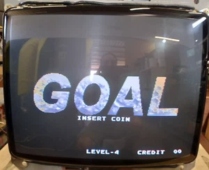 Monitor Arcade 29" inch tube TOSHIBA A68KJU96X , chassy Nanao ms9-29 - Imagen 1 de 14