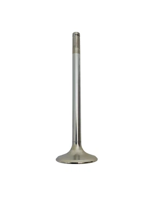 Válvula Ducati 851 Año 1991 Escape CD 21010013A VA Nuevo Original Foto 1 de 4