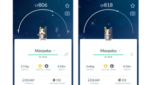 ✨Shiny Morpeko (Schillernd Morpeko) Pokemon GO✨ Exchange or PTC - Bild 1 von 8