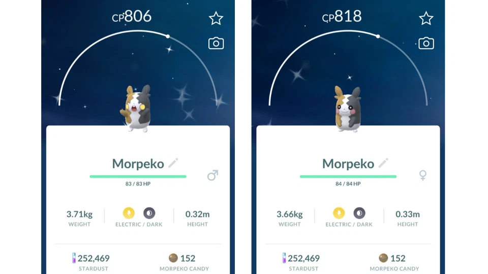 ✨Shiny Morpeko (Schillernd Morpeko) Pokemon GO✨ Exchange or PTC - Bild 1 von 1