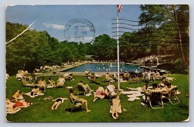 Postcard PA Outdoor Olympic Size Swimming Pool Buck Hill Falls Pennsylvania AZ4 - Image 1 of 3
