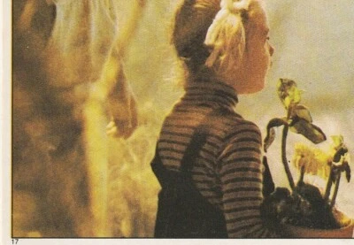 E.T. THE EXTRA TERRESTRIAL SINGLE ALBUM STICKER #17 - Image 1 of 2