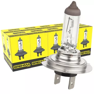 10x BREHMA Germany H7 24V 70W bulbs globes CLC 499 Halogen Truck Lorry headlight - Picture 1 of 5