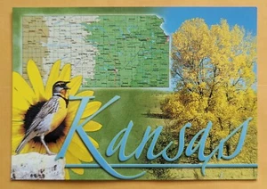 Postcard KS: State bird, flower and tree. Kansas - Picture 1 of 2