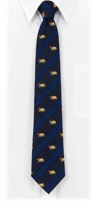 COLORATA / Corbata León Rayas Azul Marino / De Japón Foto 1 de 4