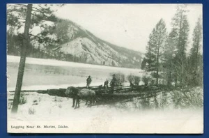 Logging Scene near St Maries Idaho id pine trees river 1911 posted postcard - Picture 1 of 2