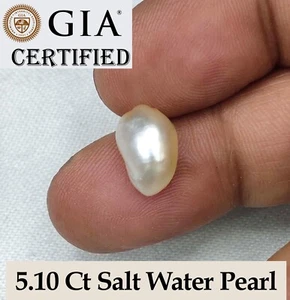 GIA CERTIFIED RARE 5.10 Ct NATURAL SALT WATER PEARL~SEE VIDEO - Picture 1 of 7