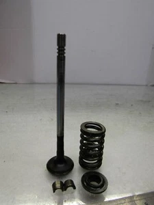 LDV Convoy Pilot MK3 2.4 TD Duratorq engine exhaust valve + spring -need cleanin - Picture 1 of 6