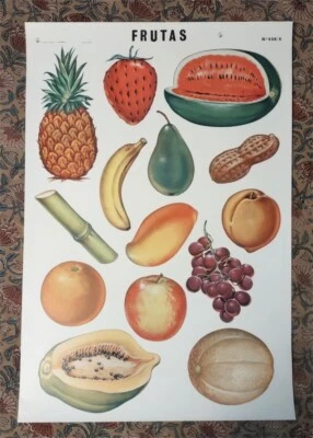 RARO Póster Vintage Frutas Mexicanas RAF #458/6 Varias Frutas México Impresión c.1970s Foto 1 de 4