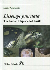 Lissemys punctata - The Indian Flap-shelled Turtle. - Picture 1 of 1