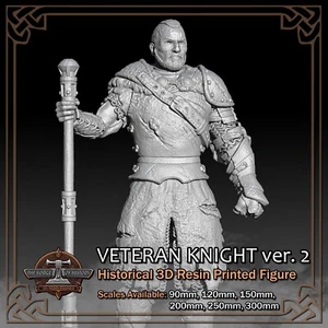 Veteran 'Warden' Knight 2 - Scale 1/18 to 1/6 - 3D Resin Printed Figure Model - Picture 1 of 11