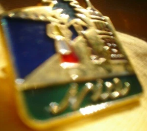 PIN ON METAL BADGE BROOCH ORIGINAL APPROX 4 CM ...NICE...... - Imagen 1 de 3