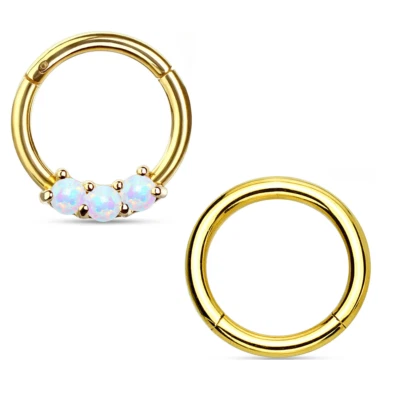 Juego de 2 anillos de aro con bisagras clicker de ópalo dorado para tabique 16 g 8 mm Helix rook daith Foto 1 de 4