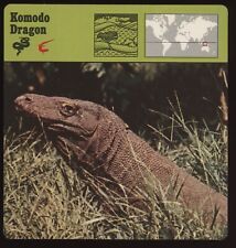 Komodo Dragon  Safari Cards Rencontre Reptiles