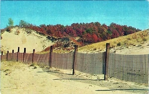 Fall Dunes Indiana Postcard 59735-B Unposted - Picture 1 of 2