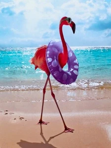 DIVERTIDO FLAMENCO Elegante y atrevido... ¡Amanecer a atardecer! TARJETA DE CUMPLEAÑOS AVANTI - Imagen 1 de 2