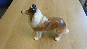 Vintage Bone China Collie Dog - Picture 1 of 13