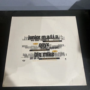 Junior M.A.F.I.A. - We Don’t need it / Onyx - Thangz changed / Big Mike 12” - Picture 1 of 2
