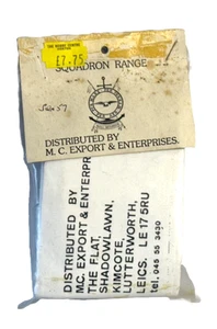 RANGO ESCUADRÓN-54mm SQN 57 Regimiento de Paracaidistas Irlanda del Norte SELLO Metal Blanco - Imagen 1 de 6