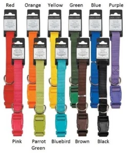 Nylon Dog Collars by Zack & Zoey 4 sizes 11 colors - Picture 1 of 17