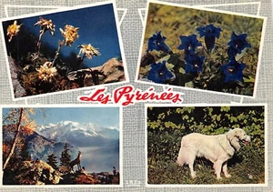 CPM Les Pyrenees Multi-View - Imagen 1 de 2