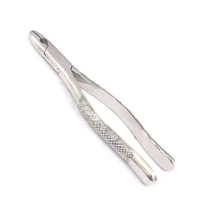#99c Dental Tooth Extraction Forceps Stainless Steel - Picture 1 of 2