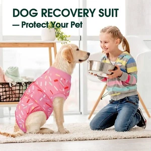 Kuoser Dog Recovery Suit Female, Soft Puppy OP Suit, Dog Recovery - Bild 1 von 7