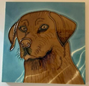 Golden Lab Labrador Hund Dekorative Wandkunst Keramikfliese 8x8 Neu Braun Geschenk - Bild 1 von 2