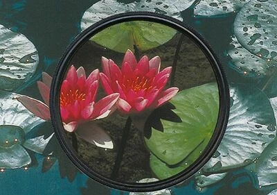 Heliopan - Slim-Circular-Polfilter E - 55 MM - Image 1 of 3